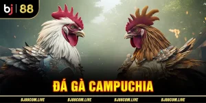 Đá Gà Campuchia BJ88 - Luật Chơi Và Các Loại Hình Phổ Biến