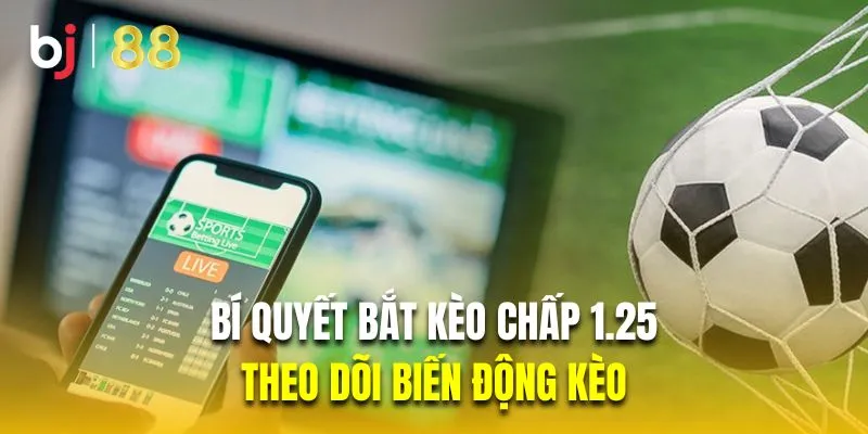 Theo dõi biến động kèo bí bí quyết bắt kèo chấp 1 1/4 chuẩn xác