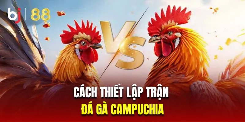 Cách thiết lập trận chọi gà Campuchia