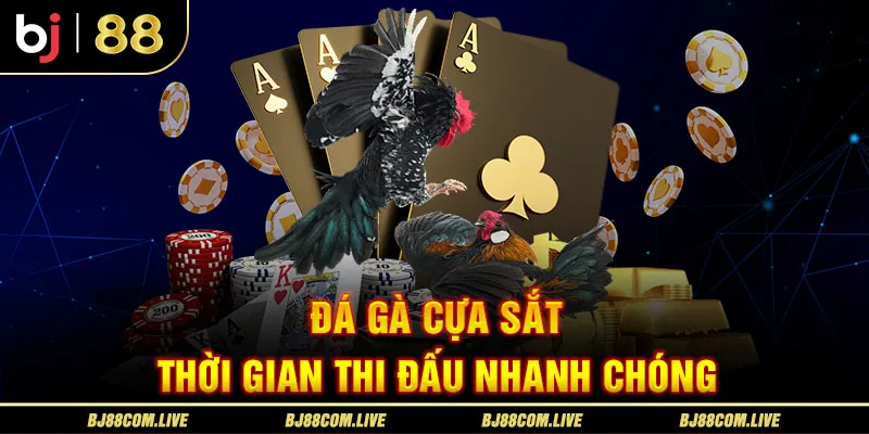 Chinh phục đá gà BJ88 cựa sắt với thời gian thi đấu chỉ vài phút