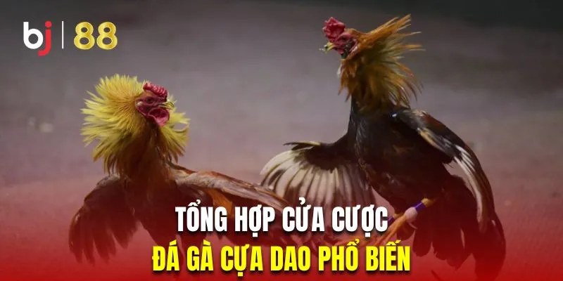 Tổng hợp những cửa cược xuất hiện phổ biến trong kê đấu cựa dao