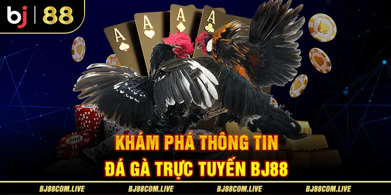 Khám phá sảnh đá gà trực tuyến BJ88