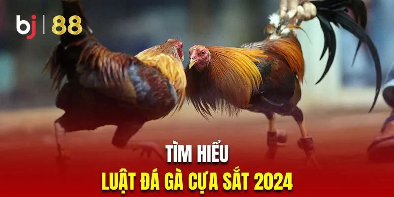 Tìm hiểu luật chọi kê cựa sắt mới nhất