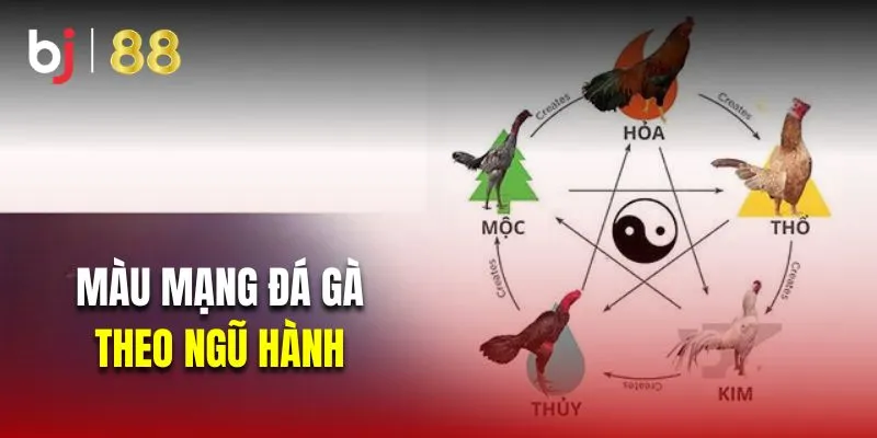 Màu mạng đá gà theo ngũ hành 