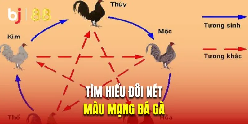 Tìm hiểu đôi nét về màu mạng gà đá