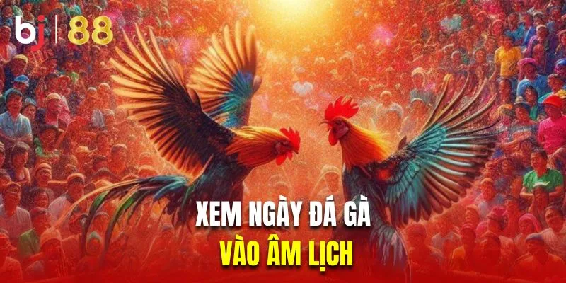 Xem ngày đá gà vào âm lịch